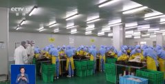 此次分析管理步履开展环境若何？难点正在哪儿