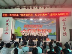 感触感染保守文化取家国情怀的温暖交融